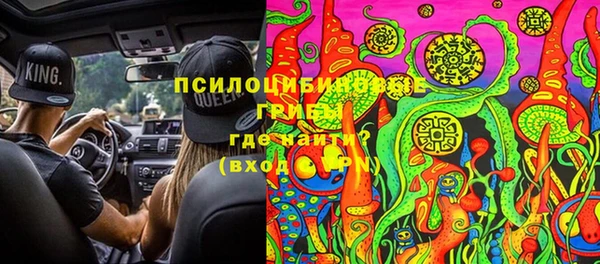 спайс Алексин