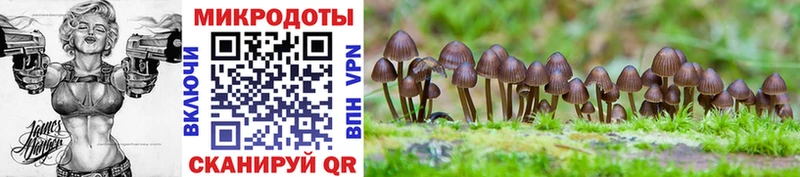 дарк нет какой сайт  Цивильск  Псилоцибиновые грибы GOLDEN TEACHER  hydra вход 